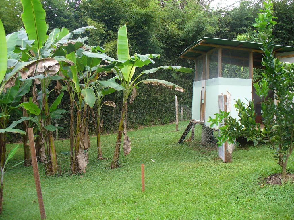 El Paraiso Verde B&B Atenas Exterior foto