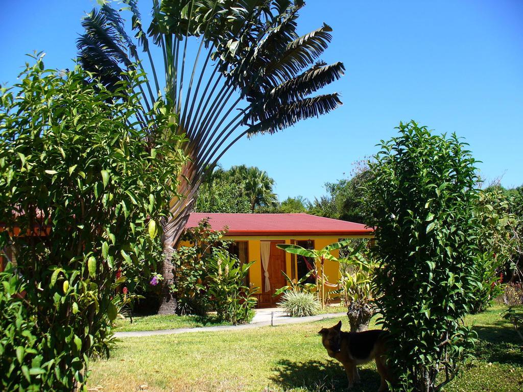 El Paraiso Verde B&B Atenas Cameră foto